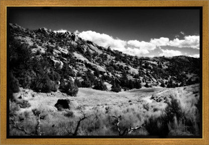 The Cove_Martins Cove