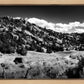 The Cove_Martins Cove