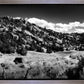 The Cove_Martins Cove