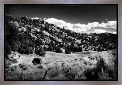 The Cove_Martins Cove