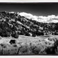 The Cove_Martins Cove