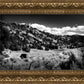 The Cove_Martins Cove