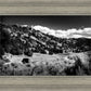 The Cove_Martins Cove