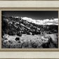 The Cove_Martins Cove