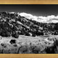 The Cove_Martins Cove