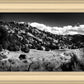 The Cove_Martins Cove