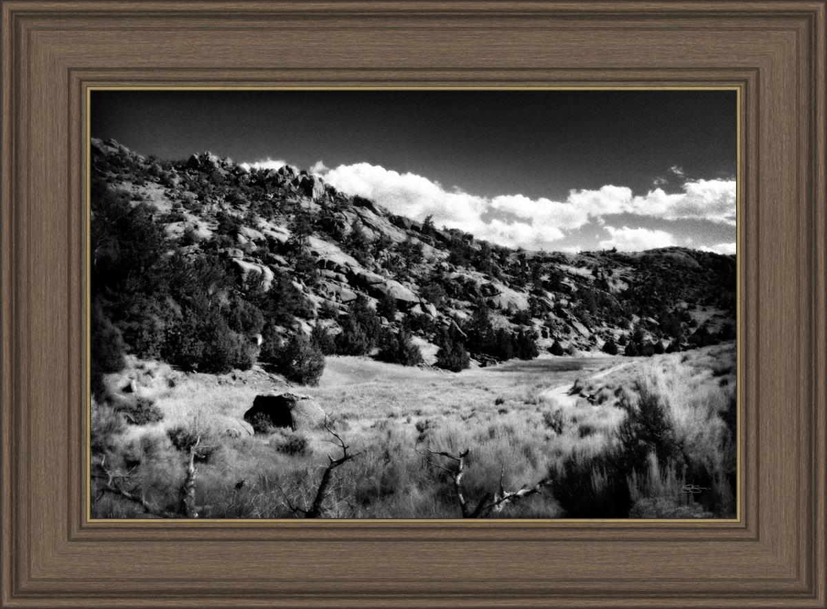 The Cove_Martins Cove