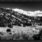 The Cove_Martins Cove