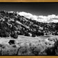 The Cove_Martins Cove
