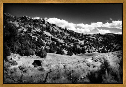 The Cove_Martins Cove