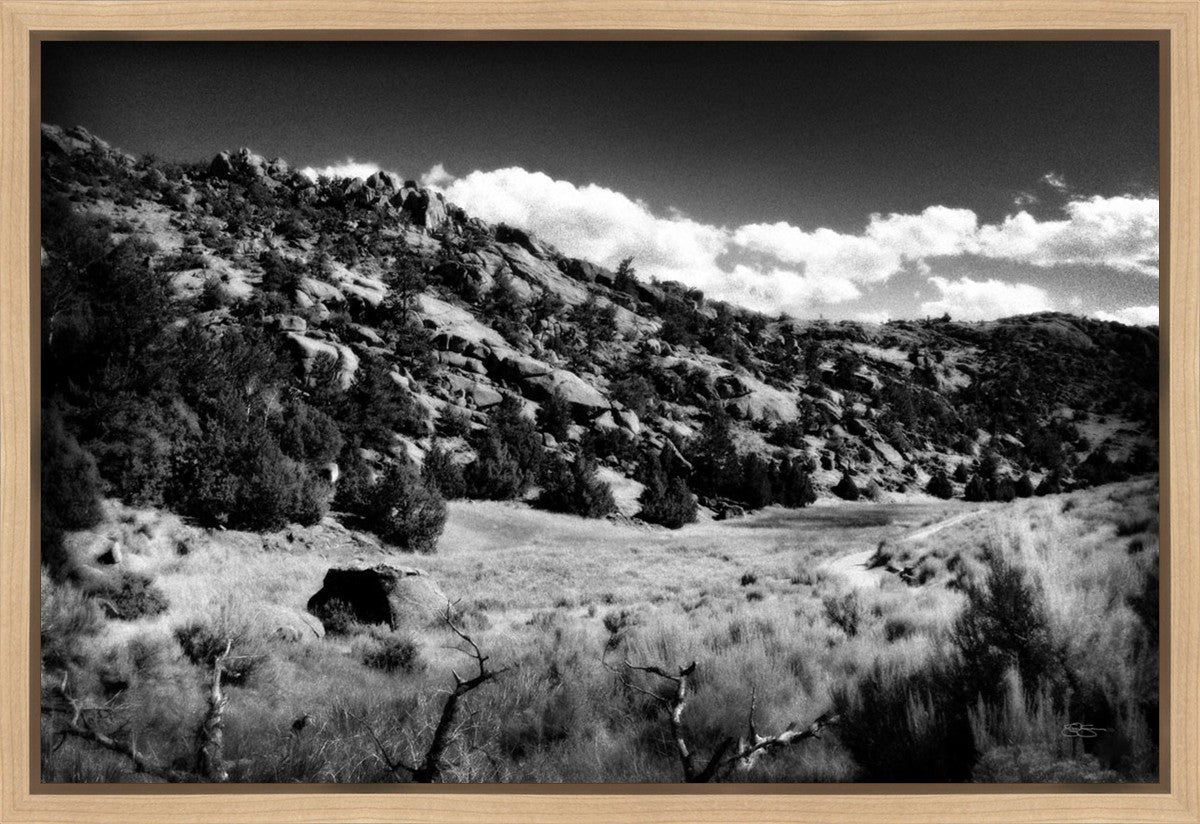 The Cove_Martins Cove