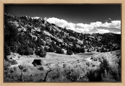 The Cove_Martins Cove