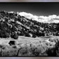 The Cove_Martins Cove
