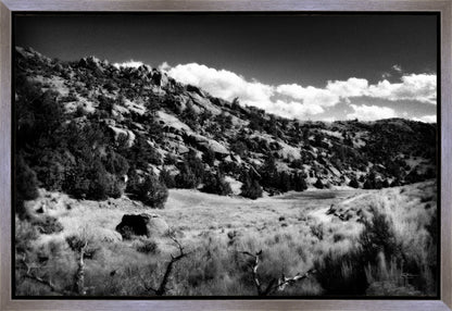 The Cove_Martins Cove