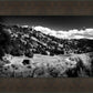 The Cove_Martins Cove