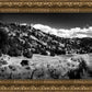 The Cove_Martins Cove
