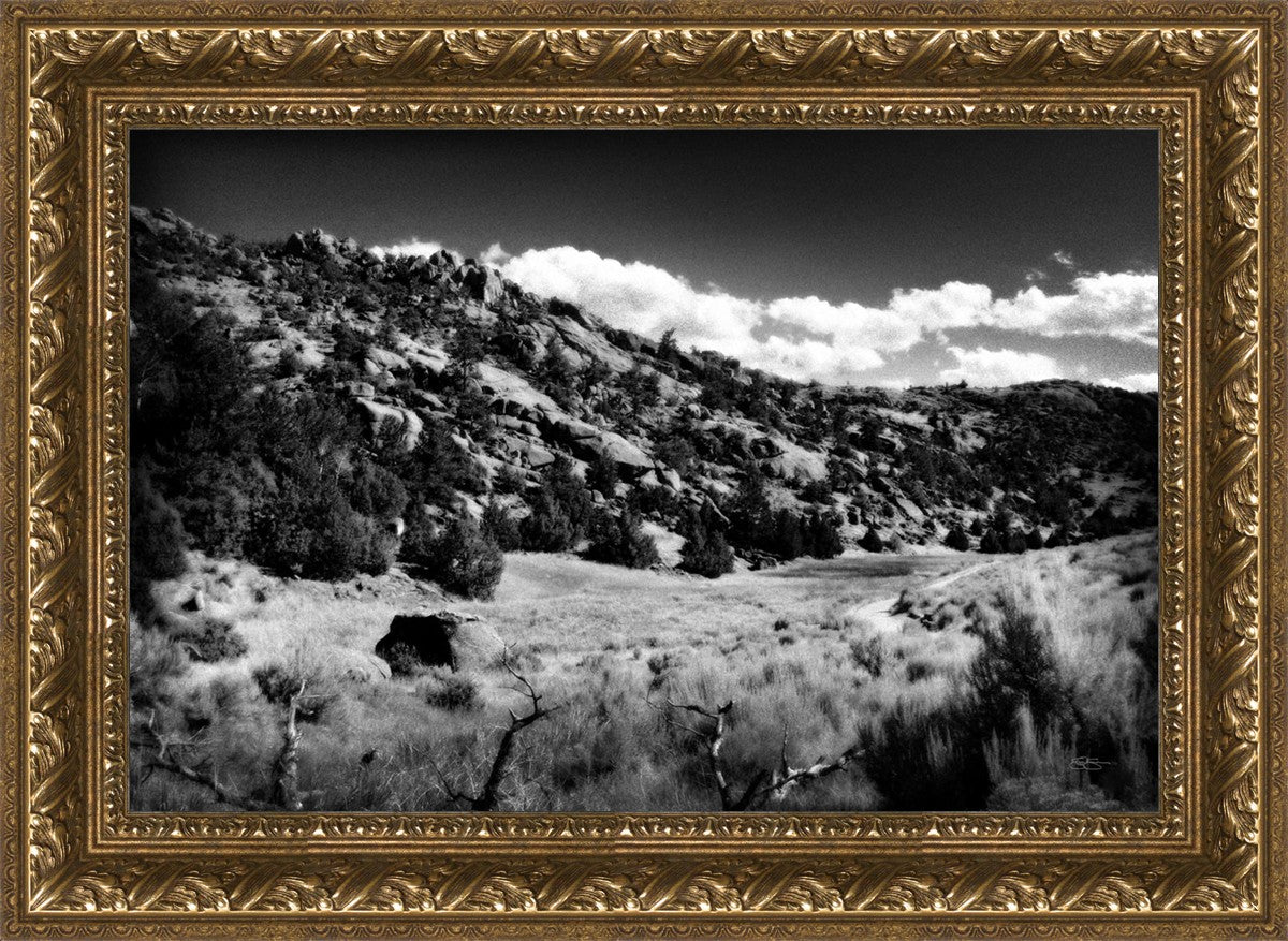 The Cove_Martins Cove