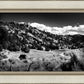 The Cove_Martins Cove
