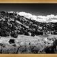 The Cove_Martins Cove