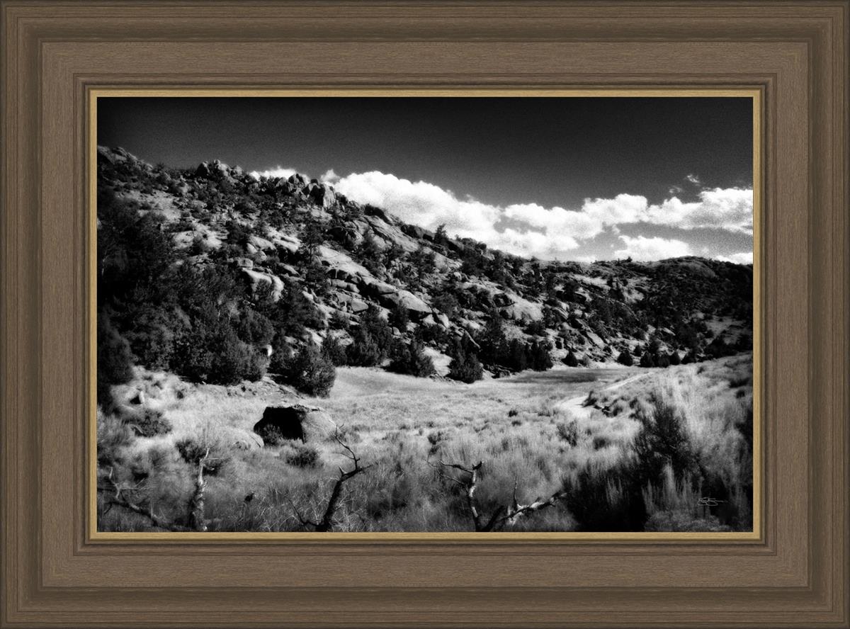 The Cove_Martins Cove