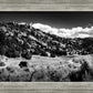 The Cove_Martins Cove
