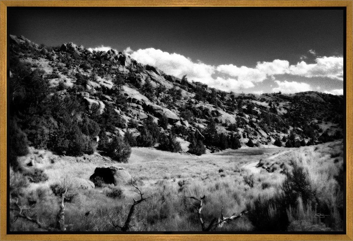 The Cove_Martins Cove