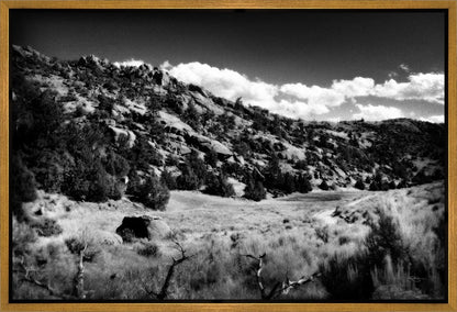 The Cove_Martins Cove