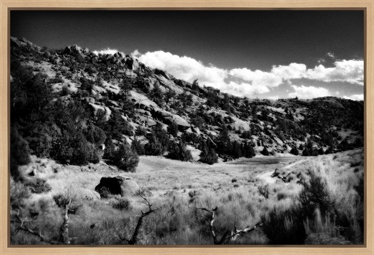 The Cove_Martins Cove