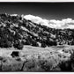 The Cove_Martins Cove