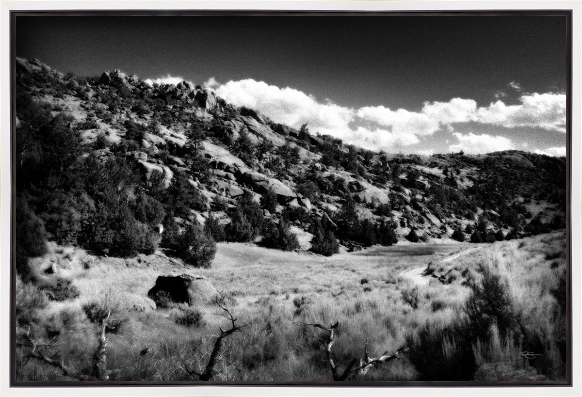 The Cove_Martins Cove