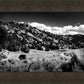 The Cove_Martins Cove