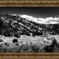 The Cove_Martins Cove