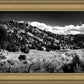 The Cove_Martins Cove