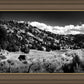 The Cove_Martins Cove