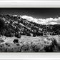 The Cove_Martins Cove