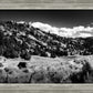 The Cove_Martins Cove