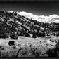 The Cove_Martins Cove