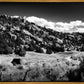 The Cove_Martins Cove