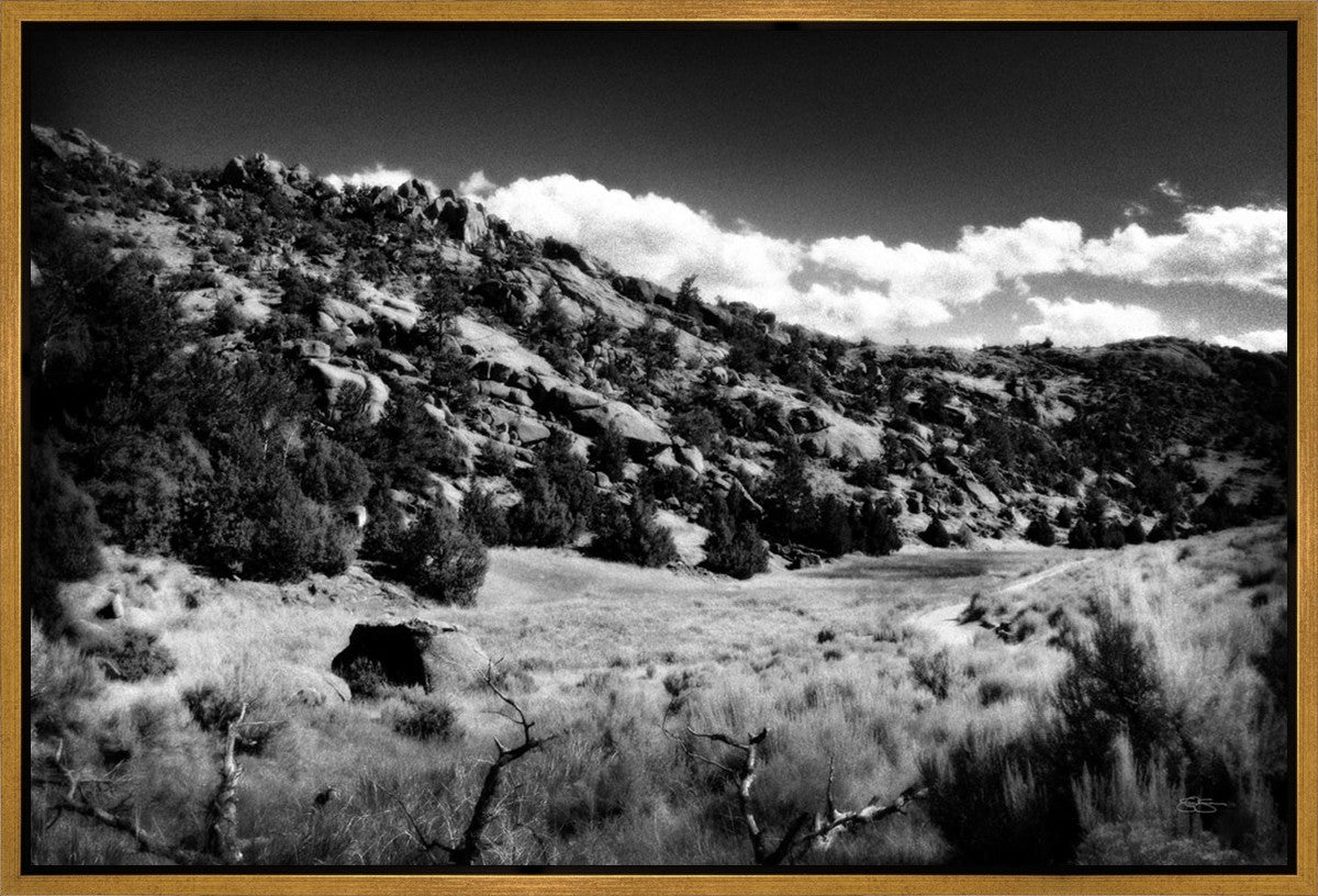 The Cove_Martins Cove