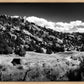The Cove_Martins Cove