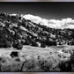 The Cove_Martins Cove