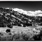 The Cove_Martins Cove