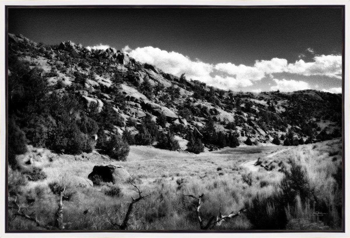 The Cove_Martins Cove