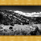The Cove_Martins Cove