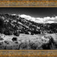 The Cove_Martins Cove