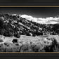 The Cove_Martins Cove