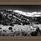 The Cove_Martins Cove