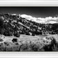 The Cove_Martins Cove