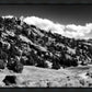 The Cove_Martins Cove