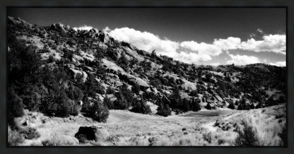 The Cove_Martins Cove